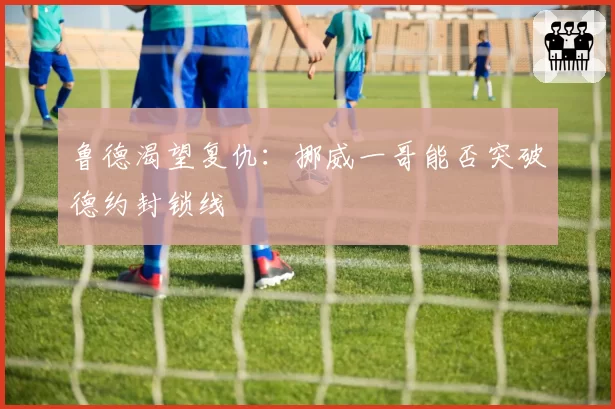 鲁德渴望复仇:挪威一哥能否突破德约封锁线