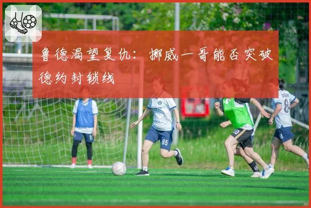 鲁德渴望复仇:挪威一哥能否突破德约封锁线
